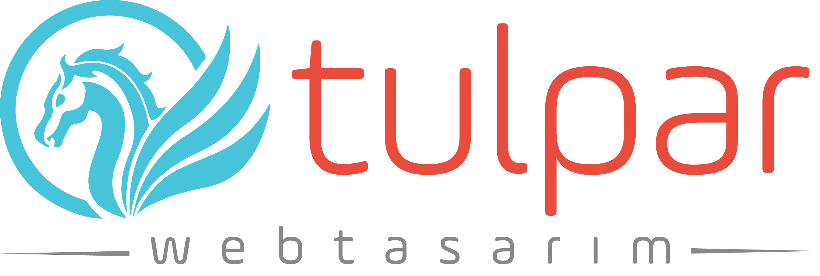 Tulpar Web
