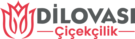 Dilovası Çiçek Gönder | Özel Günler İçin Çiçek Aranjmanları